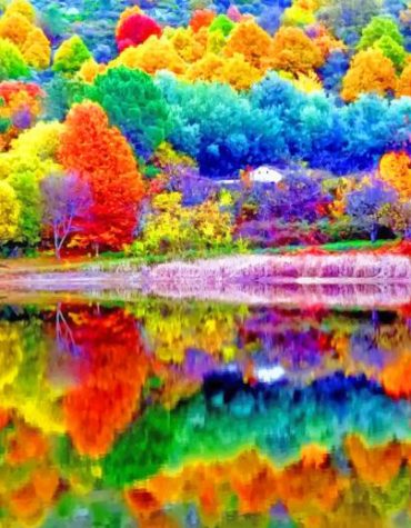 Autumn Forest Colors Paint By Numbers