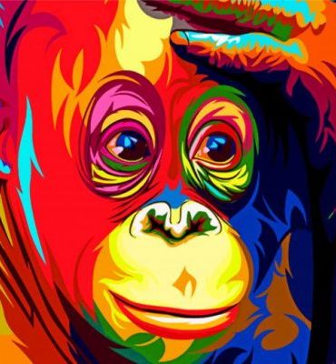 Colorful Monkey Animals Paint By Numbers