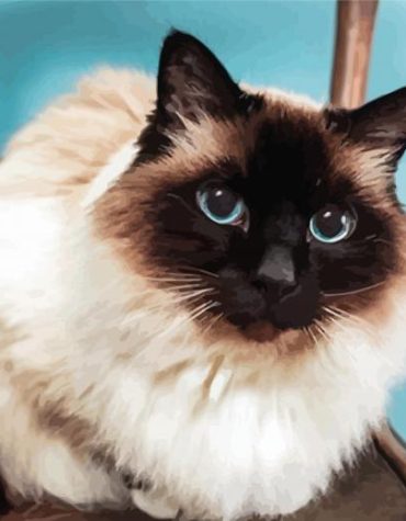 Birman Cat Painting Made Easy Paint By Numbers