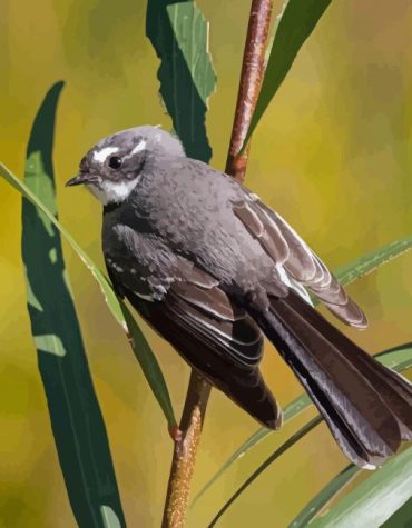 Fantail Bird Figurine Paint By Numbers