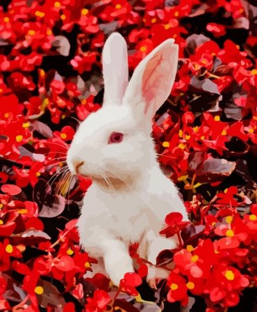 Floral Rabbit Paint By Numbers