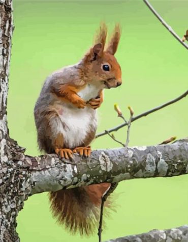 Red Squirrel in Nature Paint By Numbers