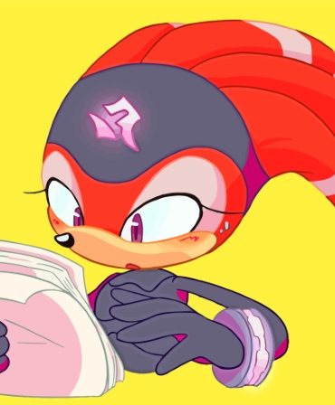 Shade The Echidna Sonic Paint By Numbers