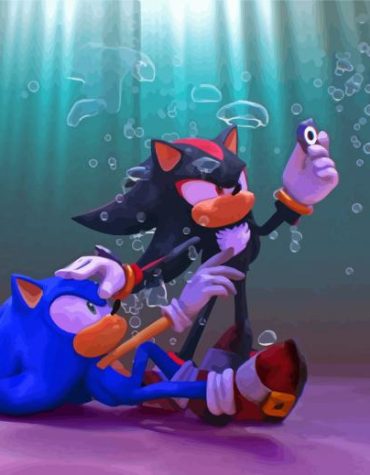 Sonic Prime Animation Paint By Numbers