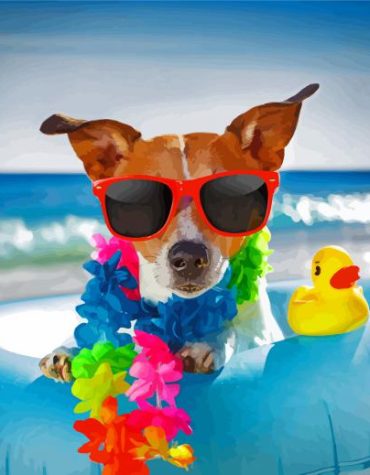 Stylish Dog Animal Paint By Numbers