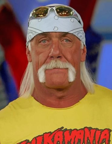 Hulk Hogan Wrestling Paint By Numbers