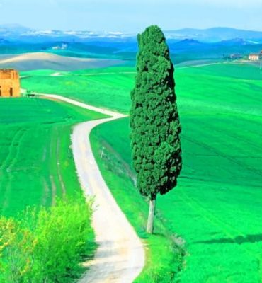 Scenic Tuscany Landscape Paint By Numbers