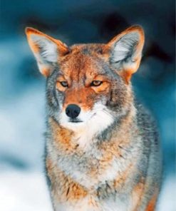 Coyote and Wolf Paint By Numbers