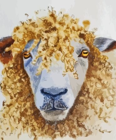 Curly Sheep Paint By Numbers