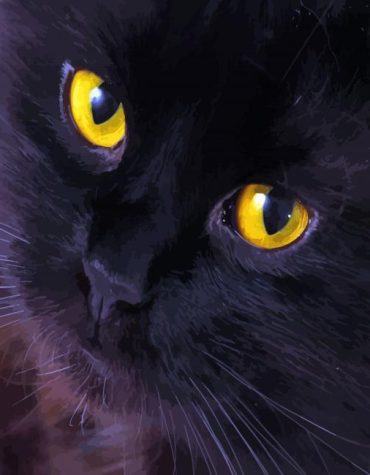 Black Cat Yellow Eyes Paint By Numbers