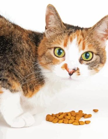 Cat and Cuisine Paint By Numbers