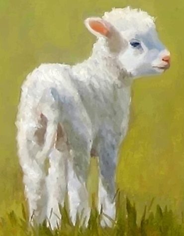 Cute Lamb Paint By Numbers