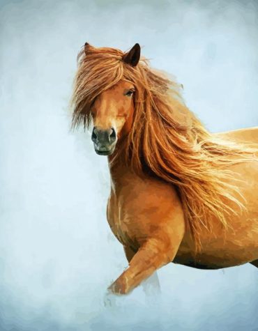 Cute Mare Horse Painting Kit - Paint By Numbers