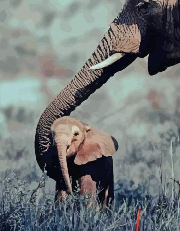 Elephant Family Bond Paint By Numbers