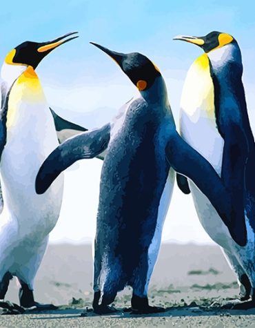 Cute Penguin Picture Paint By Numbers