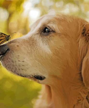 Cute Puppy With Butterflies Paint By Numbers
