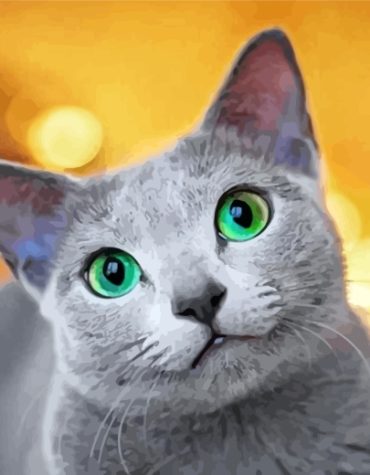 Cute Russian Blue Paint By Numbers