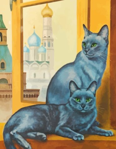 Russian Blue Kitten Paint By Numbers