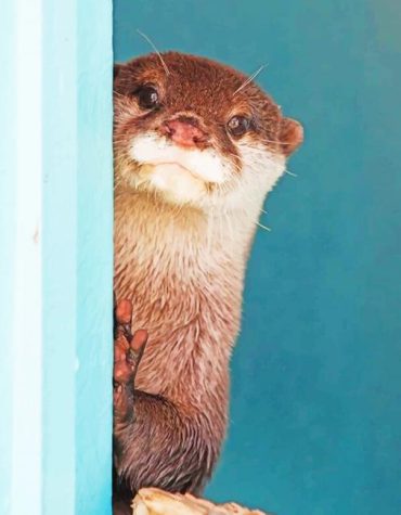 Cute Otter Animals Paint By Numbers