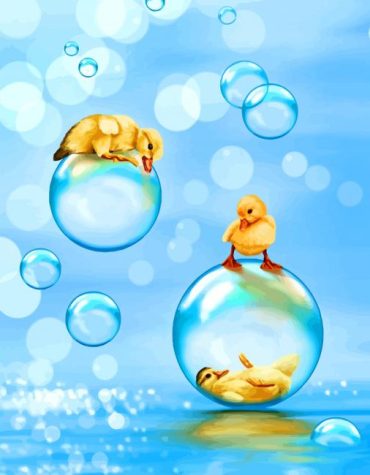 Cute Birds and Bubbles Paint By Numbers