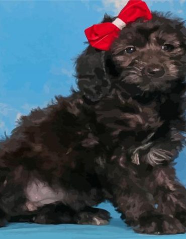 Cute Whoodle Puppy Paint By Numbers