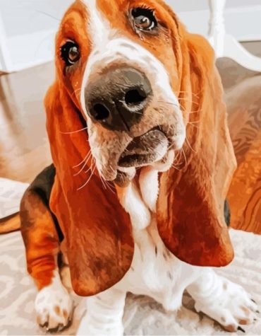 Cute Bloodhound Dog Paint By Numbers