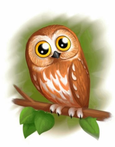 Cute Eastern Screech Owl Paint By Numbers