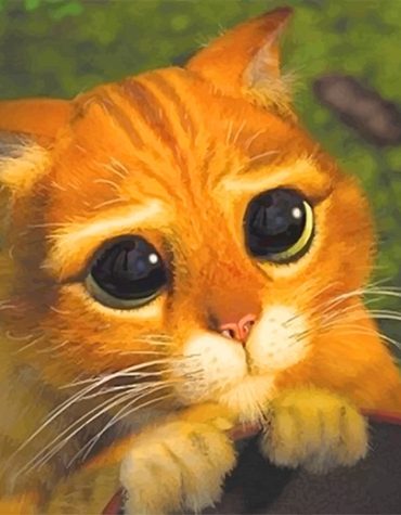 Puss in Boots Adventure Paint By Numbers