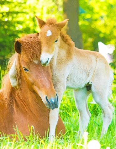 Horse Family Foals Paint By Numbers