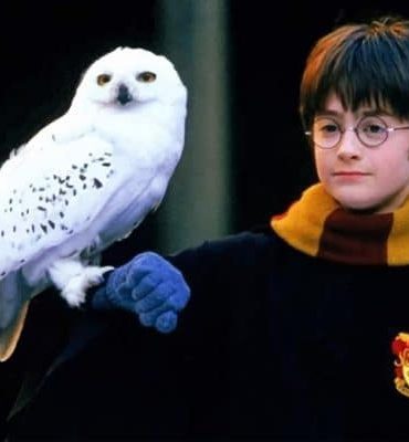 Harry Potter Wizarding World Paint By Numbers