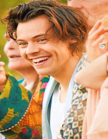 Cute Harry Styles Paint By Numbers