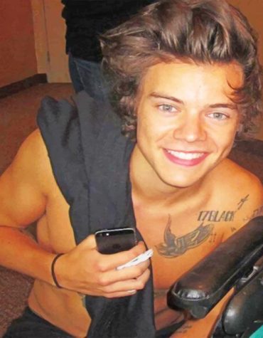 Cute Harry Styles Fan Art Paint By Numbers