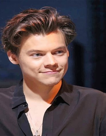 Harry Styles Pop Icon Paint By Numbers