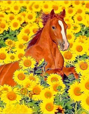 Cute Stallions and Sunflowers Paint By Numbers