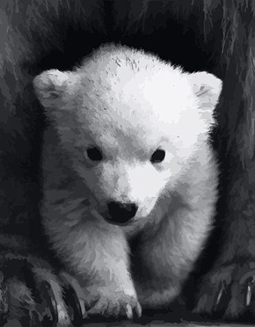 Cute Polar Bear Paint By Numbers