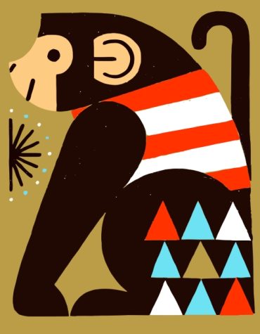 Cute Monkey Animal Paint By Numbers