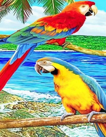 Cute Colorful Parrots Paint By Numbers