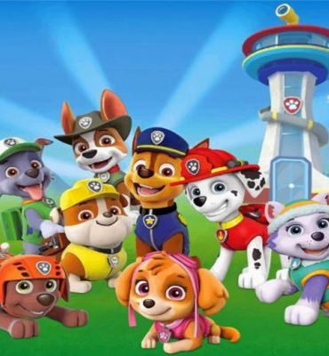 Explore Paw Patrol Animation Paint By Numbers