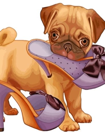 Adorable Pug Puppies Paint By Numbers