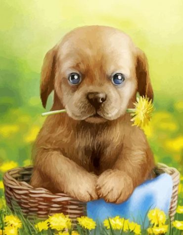Adorable Puppy Paint By Numbers