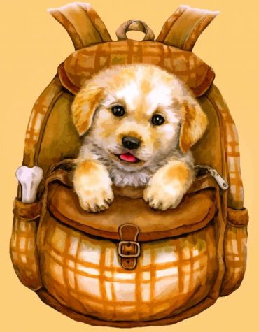 Cute Puppy Dogs Paint By Numbers