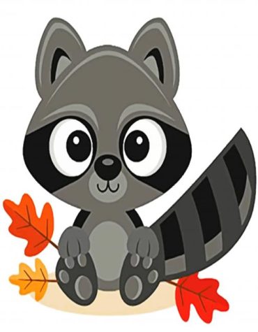 Raccoon Fun for Kids Paint By Numbers