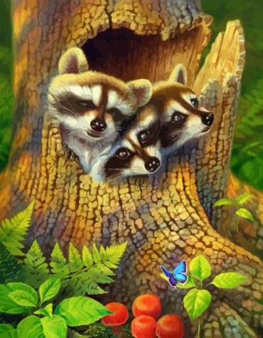 Adorable Raccoon in Trees Paint By Numbers
