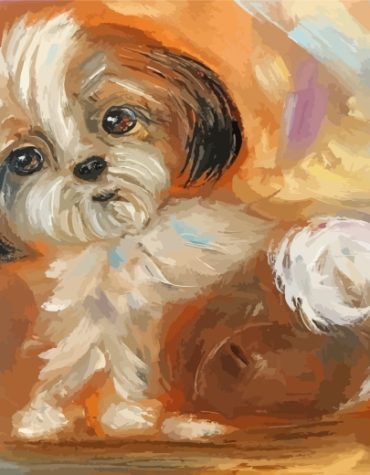 Cute Shih Tzu Animals Paint By Numbers