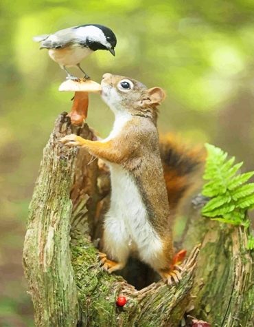 Cute Squirrel and Bird Paint By Numbers