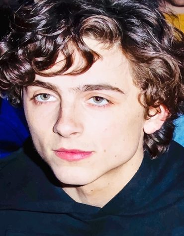 Cute Timothee Chalamet Paint By Numbers