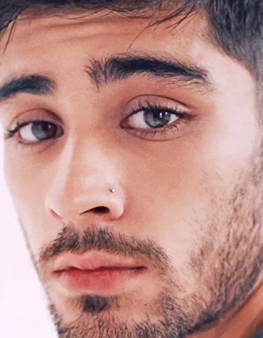 Cute British Singer Zayn Malik Paint By Numbers