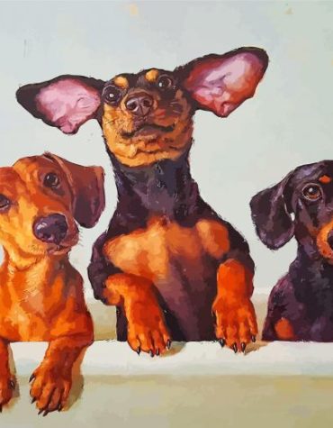 Dachshund Pet Portrait Paint By Numbers