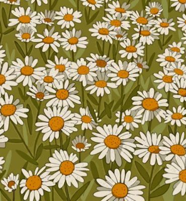 Daisy Field Nature Paint By Numbers