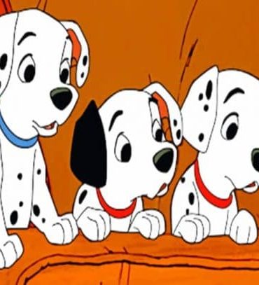Disney Dalmatian Dog Paint By Numbers